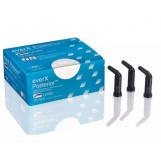 EverX Posterior GC -...