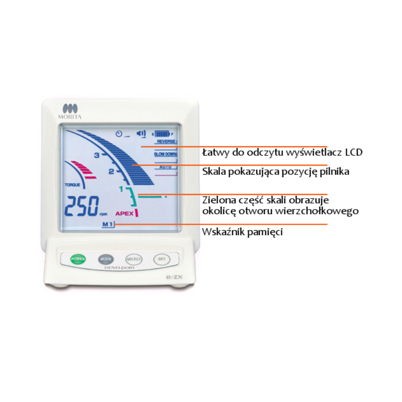 Endometr DentaPort Root ZX Morita